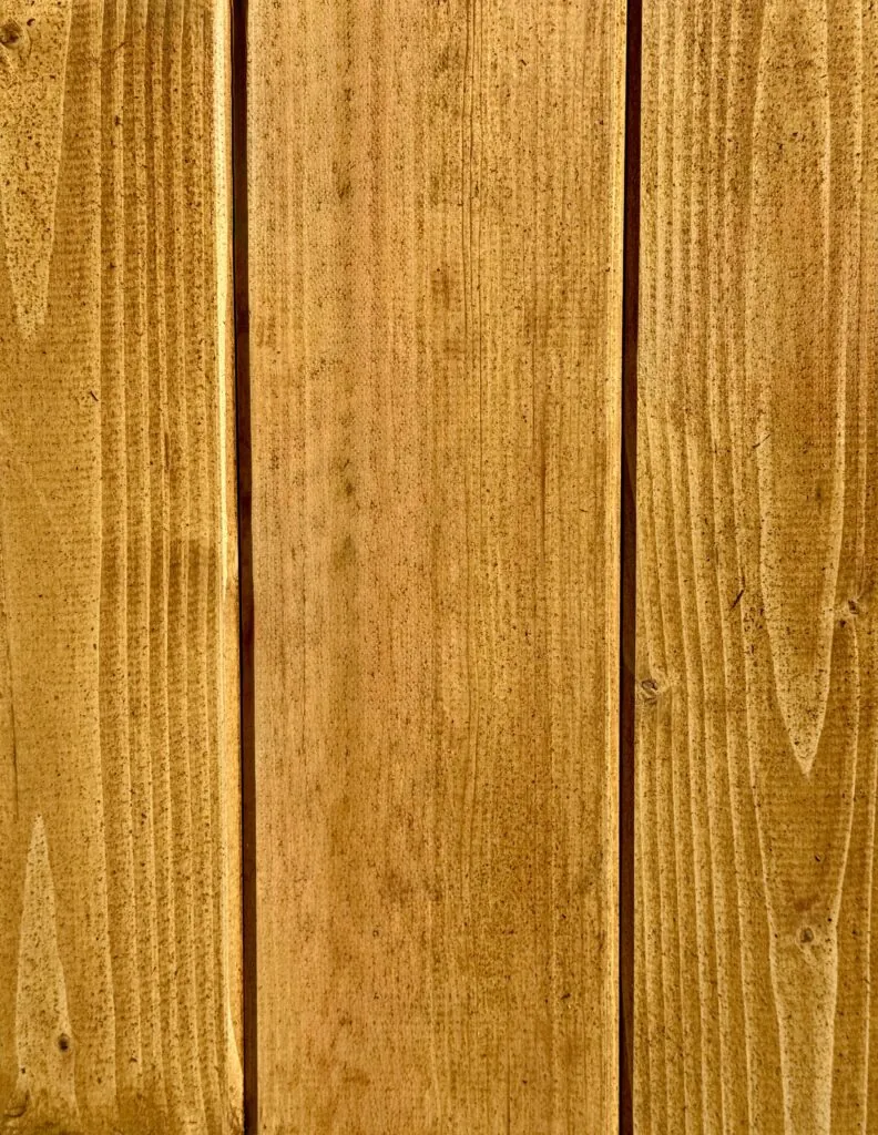 Dąb rustykalny